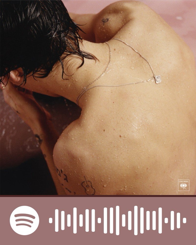 Harry Styles Spotify Code